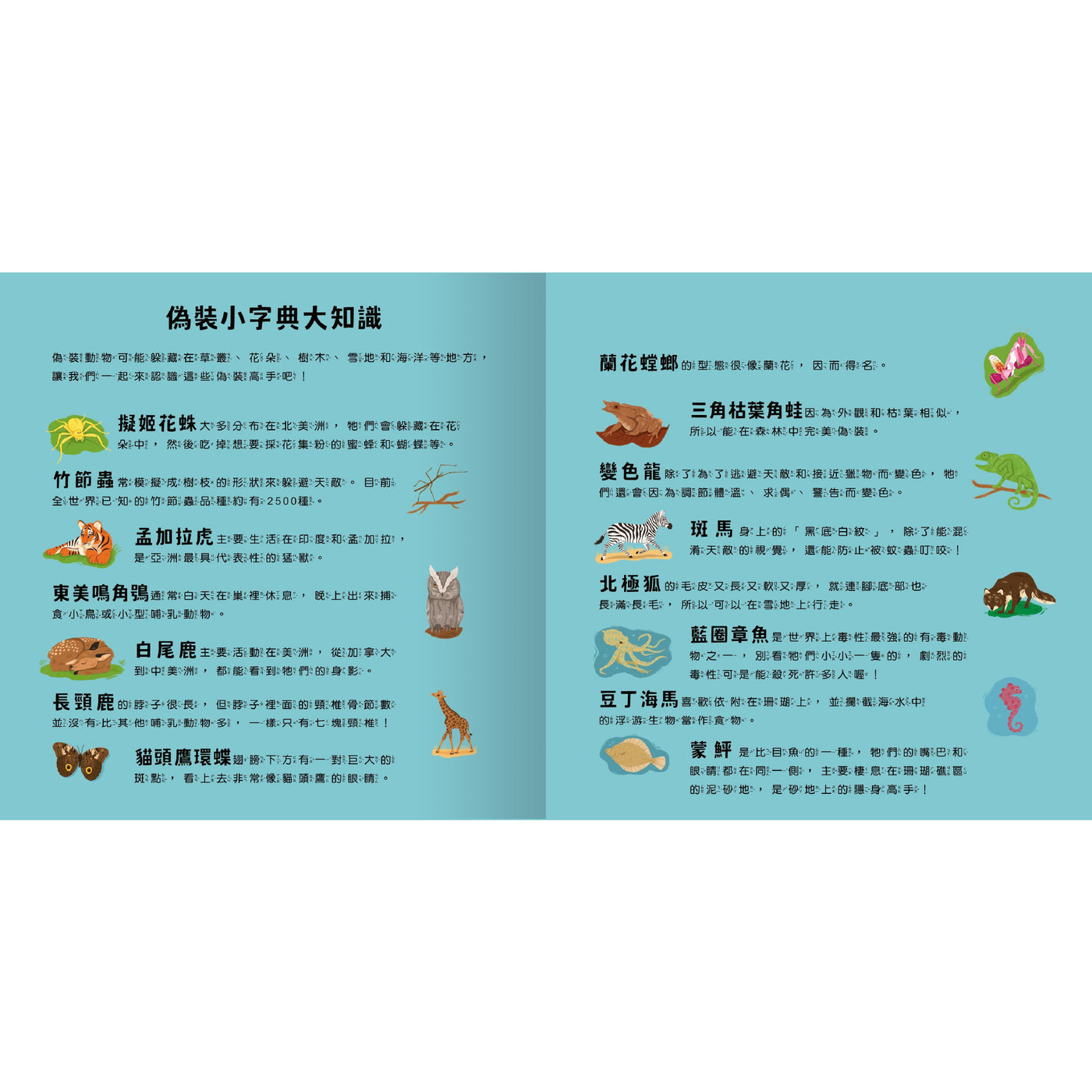 登登登!透光Show-動物的偽裝術