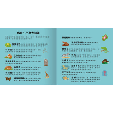 登登登!透光Show-動物的偽裝術