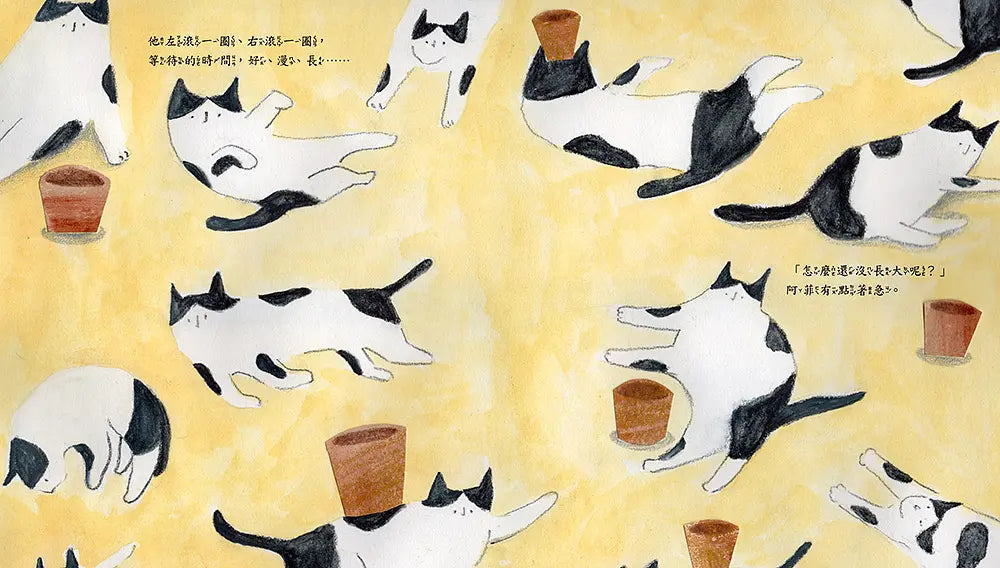 花盆裡的祕密: 培養耐心與練習等待