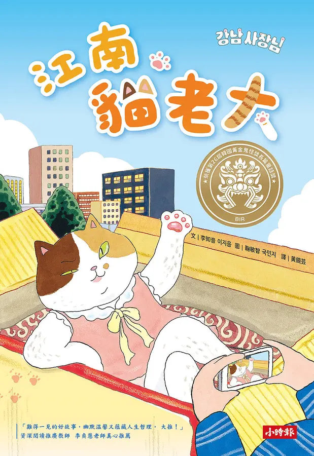 江南貓老大