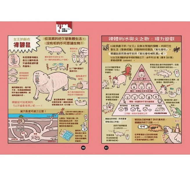 有怪癖的動物超棒的!圖鑑-非故事: 動物植物 Animal & Plant-買書書 BuyBookBook