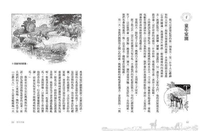 黑神駒【全球Top 10暢銷少兒文學,BBC百大最愛小說,最感人的動物傳記文學經典】-故事: 劇情故事 General-買書書 BuyBookBook
