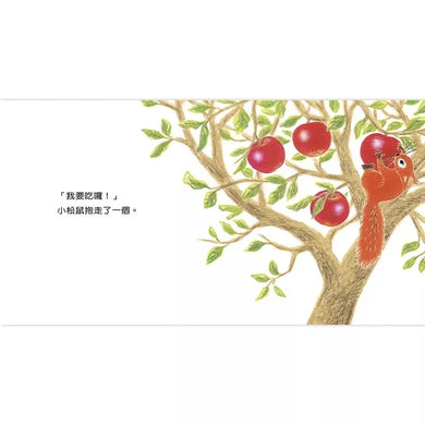 Bookstart數概念啟蒙遊戲組(閱讀起步走一套5本)-故事: 兒童繪本 Picture Books-買書書 BuyBookBook