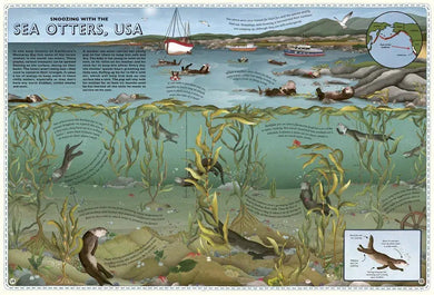 Atlas of Ocean Adventures: A Collection of Natural Wonders, Marine Marvels and Undersea Antics from Across the Globe-Nonfiction: 動物植物 Animal & Plant-買書書 BuyBookBook