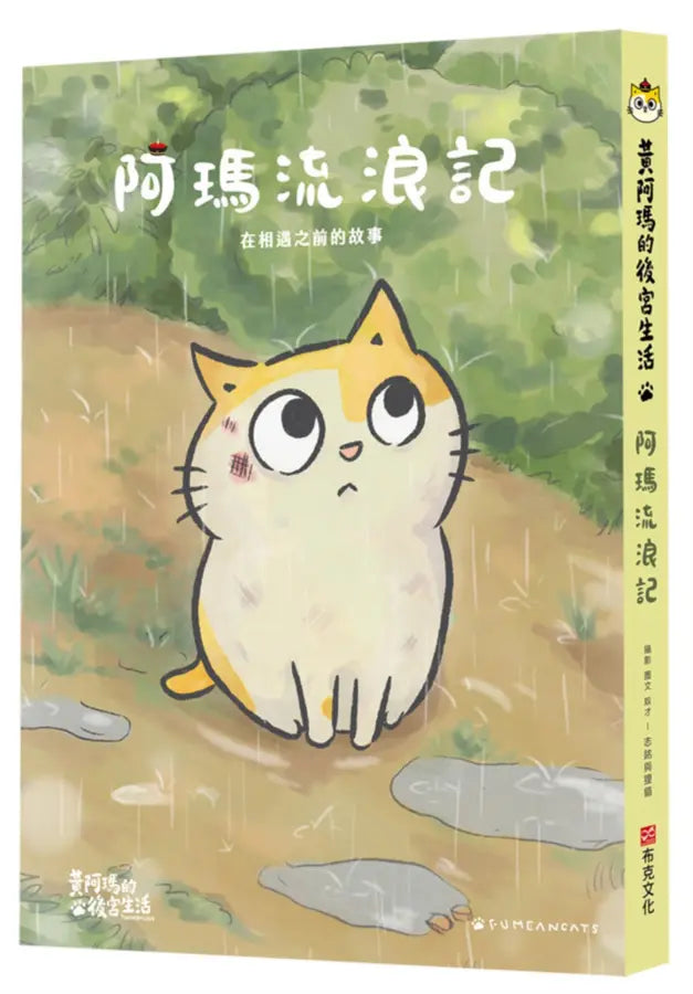 黃阿瑪的後宮生活 阿瑪流浪記:在相遇之前的故事-Graphic novels/ Comic books/ Manga/ Cartoons-買書書 BuyBookBook