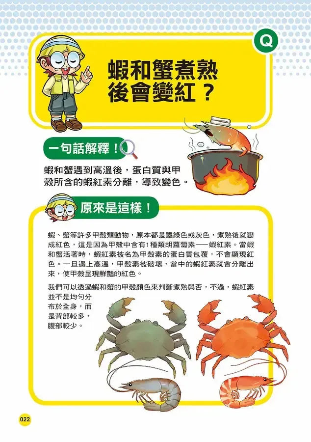 誰最強?!99%小學生都不懂的冷知識(3) 大貓熊不只會吃竹子,還會吃肉?(附學習單)-Children’s / Teenage general interest: General knowledge and interesting facts-買書書 BuyBookBook