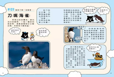 章魚熊的動物觀察筆記:外形篇-非故事: 常識通識 General Knowledge-買書書 BuyBookBook