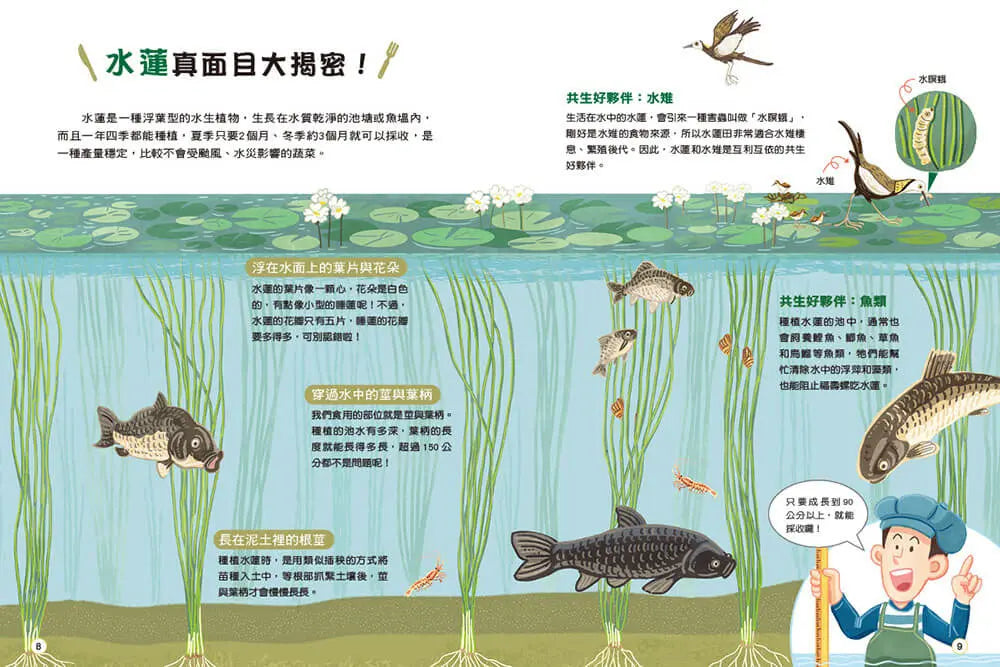 食在有意思1:揭密食材真面目
