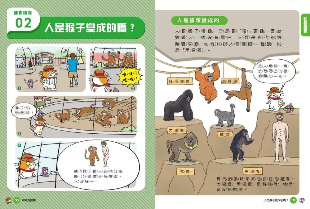 妙妙喵圖解生活科學3:神奇測謊機──跟著妙妙喵和跳跳蟲用圖像思考,破解生活大小問!(胡妙芬)-非故事: 科學科技 Science & Technology-買書書 BuyBookBook