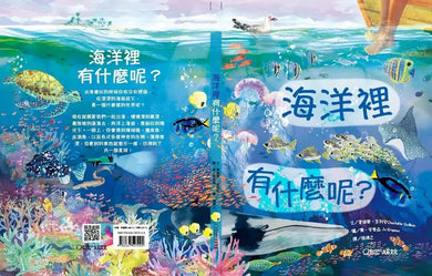 海洋裡有什麼呢?