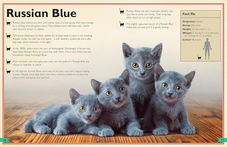 The Magnificent Book of Cats (Barbara Taylor)-Children’s / Teenage general interest: Nature and animals-買書書 BuyBookBook