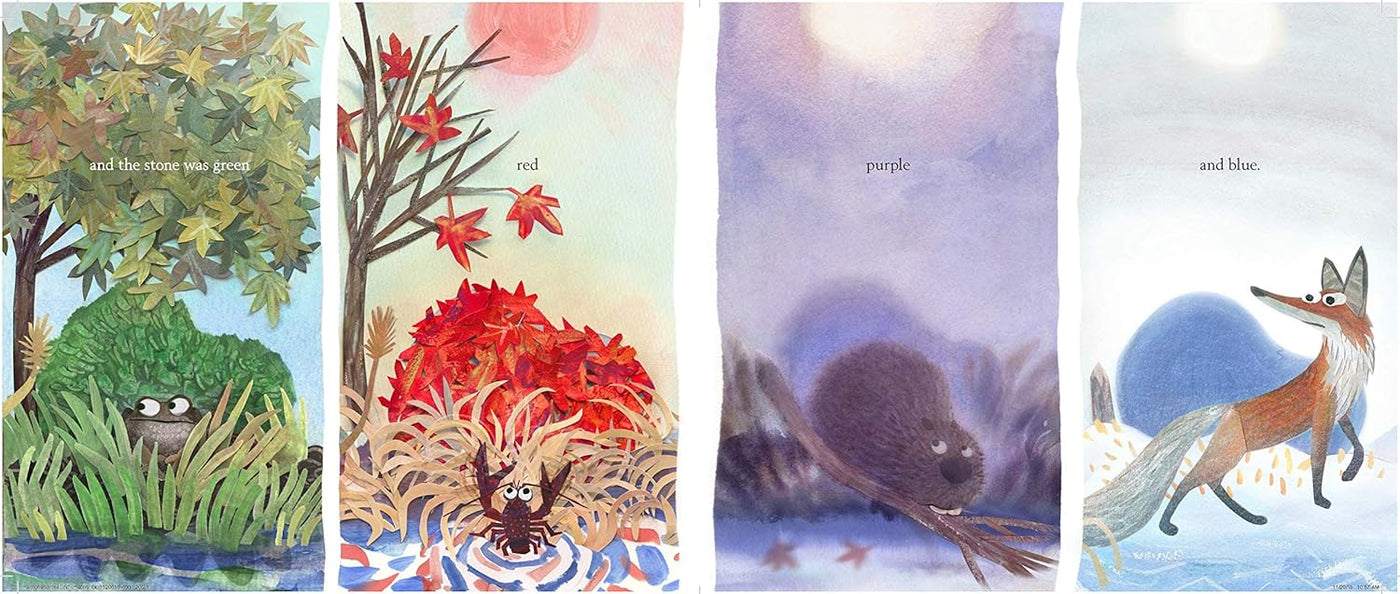 A Stone Sat Still-Children’s picture books-買書書 BuyBookBook