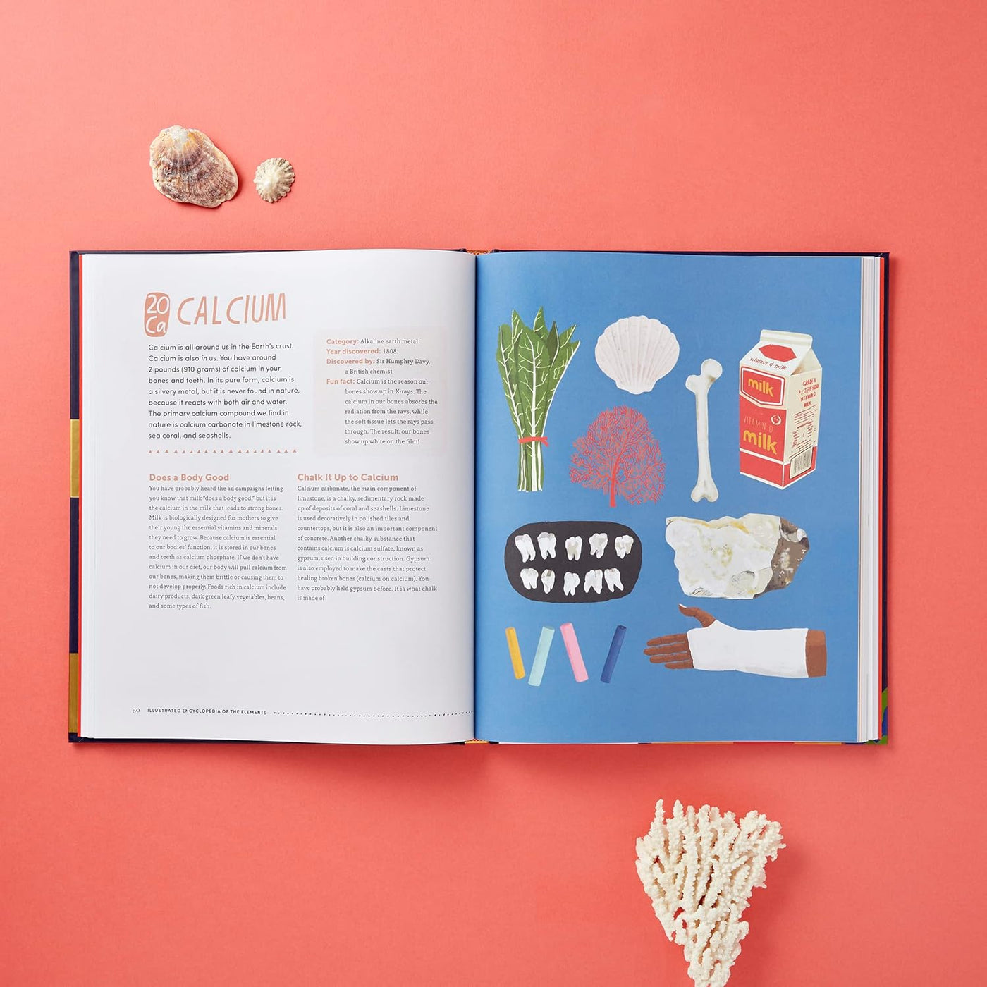 The Illustrated Encyclopedia of the Elements-Children’s / Teenage general interest: Science and technology-買書書 BuyBookBook