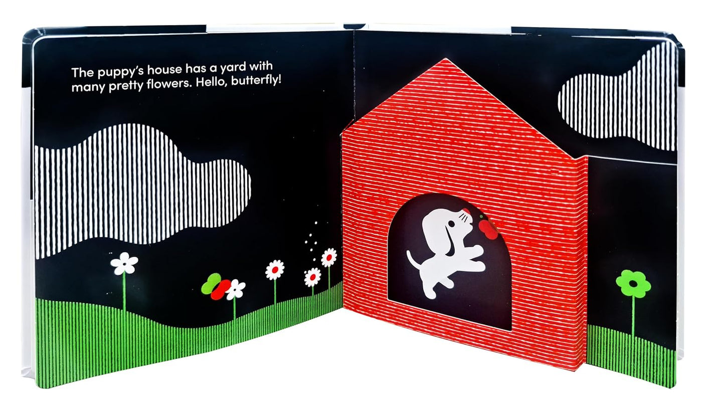 Baby Basics: Animals at Home-Children’s / Teenage fiction: Nature and animal stories-買書書 BuyBookBook