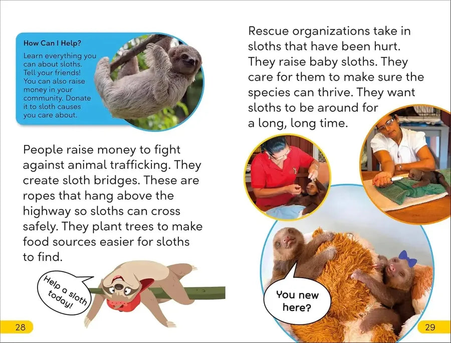 DK Super Readers Level 2 Sassy Sloth