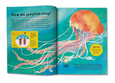 First Big Book of How (Sally Symes)-Children’s / Teenage general interest: General knowledge and interesting facts-買書書 BuyBookBook