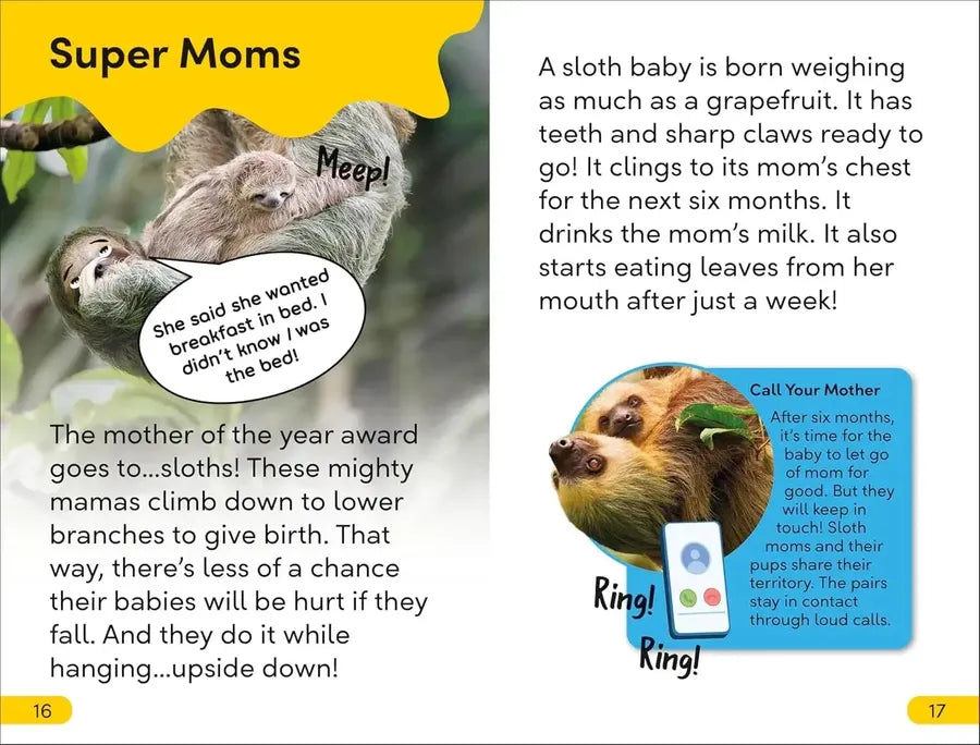 DK Super Readers Level 2 Sassy Sloth