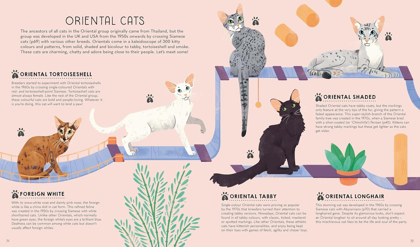 Lonely Planet Kids Atlas of Cats