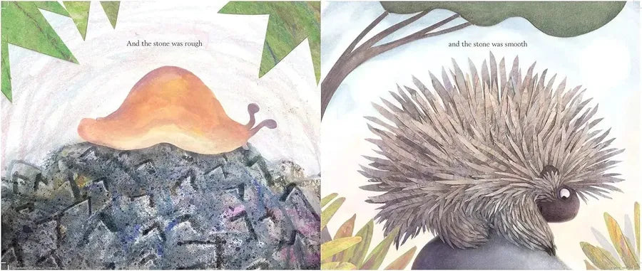 A Stone Sat Still-Children’s picture books-買書書 BuyBookBook