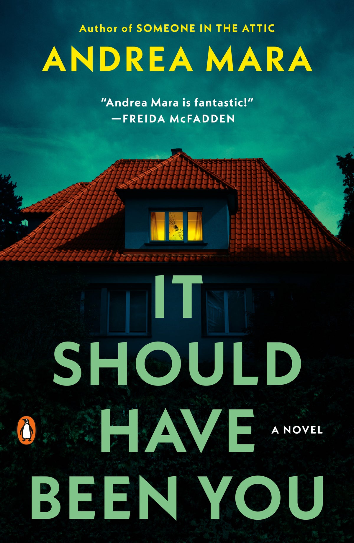 It Should Have Been You cover (ISBN 9780593832110)