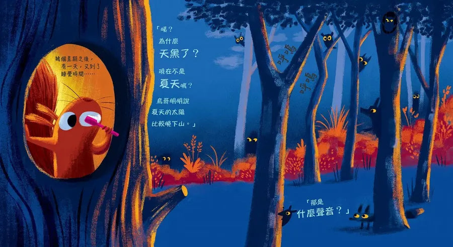 誰偷走了我的陽光?【森林動物的季節故事書4-我愛夏天】(大人小孩都搶著看的傻萌小松鼠繪本)-Children's picture books-買書書 BuyBookBook