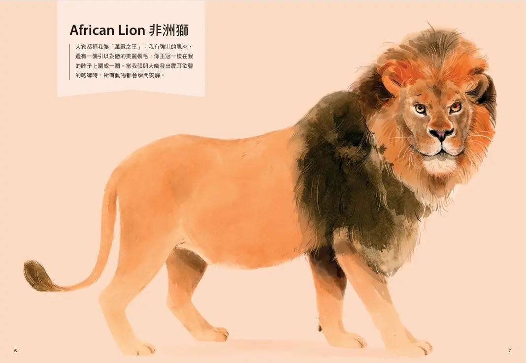 誰是動物大聲公?〔動物繪本圖鑑4〕:首批限量加贈「有聲動物小海報」-Children’s / Teenage general interest: Nature and animals-買書書 BuyBookBook