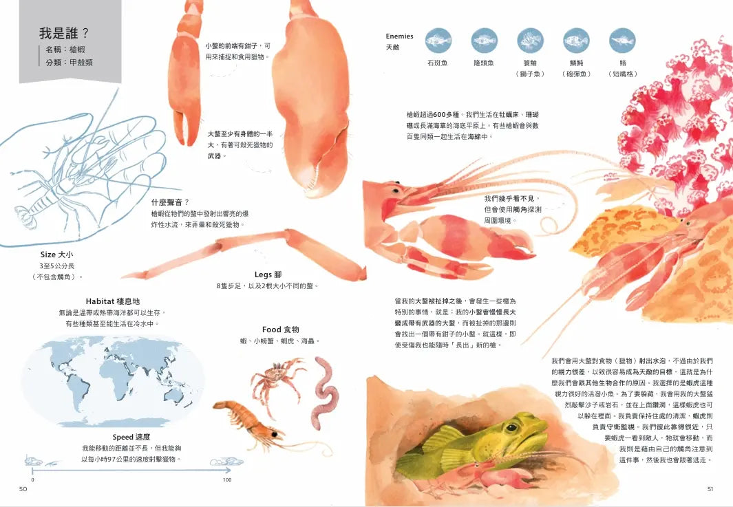 誰是動物大聲公?〔動物繪本圖鑑4〕:首批限量加贈「有聲動物小海報」-Children’s / Teenage general interest: Nature and animals-買書書 BuyBookBook