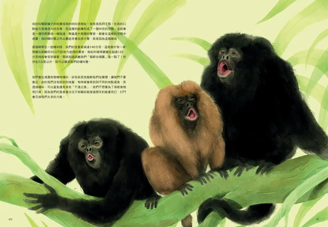 誰是動物大聲公?〔動物繪本圖鑑4〕:首批限量加贈「有聲動物小海報」-Children’s / Teenage general interest: Nature and animals-買書書 BuyBookBook