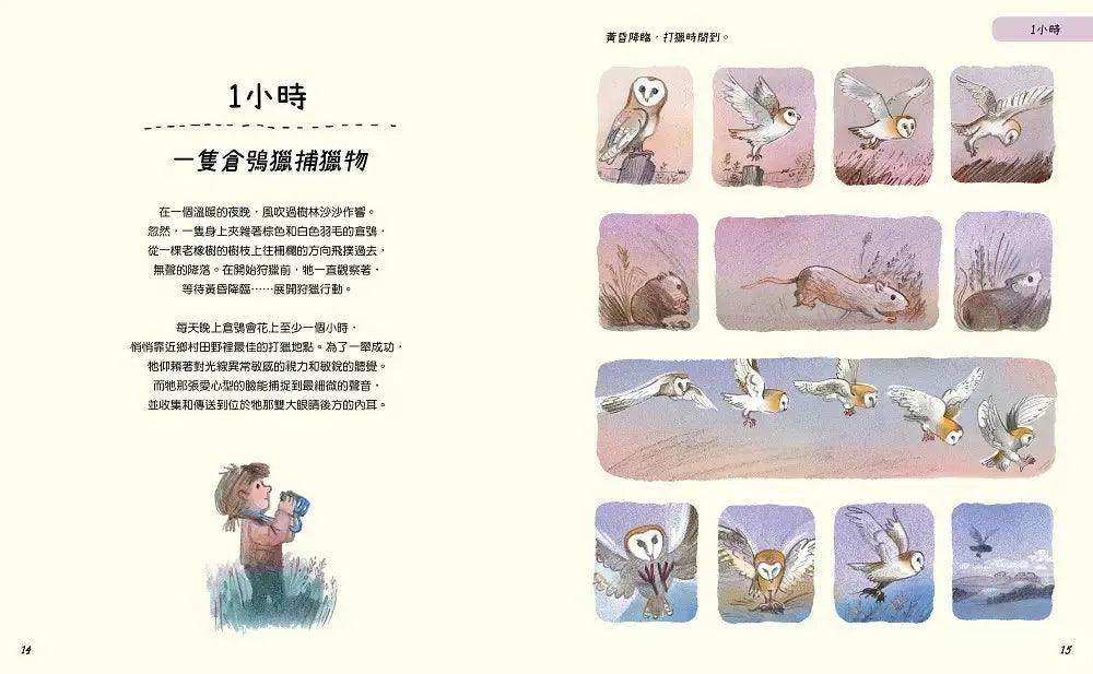 慢慢來:好事正在發生-Children’s / Teenage general interest: Nature and animals-買書書 BuyBookBook