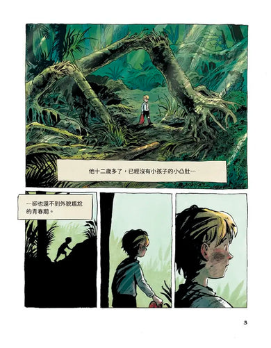 蒼蠅王(圖像小說版):出版70年,首度授權改編-Graphic novels/ Comic books/ Manga/ Cartoons-買書書 BuyBookBook