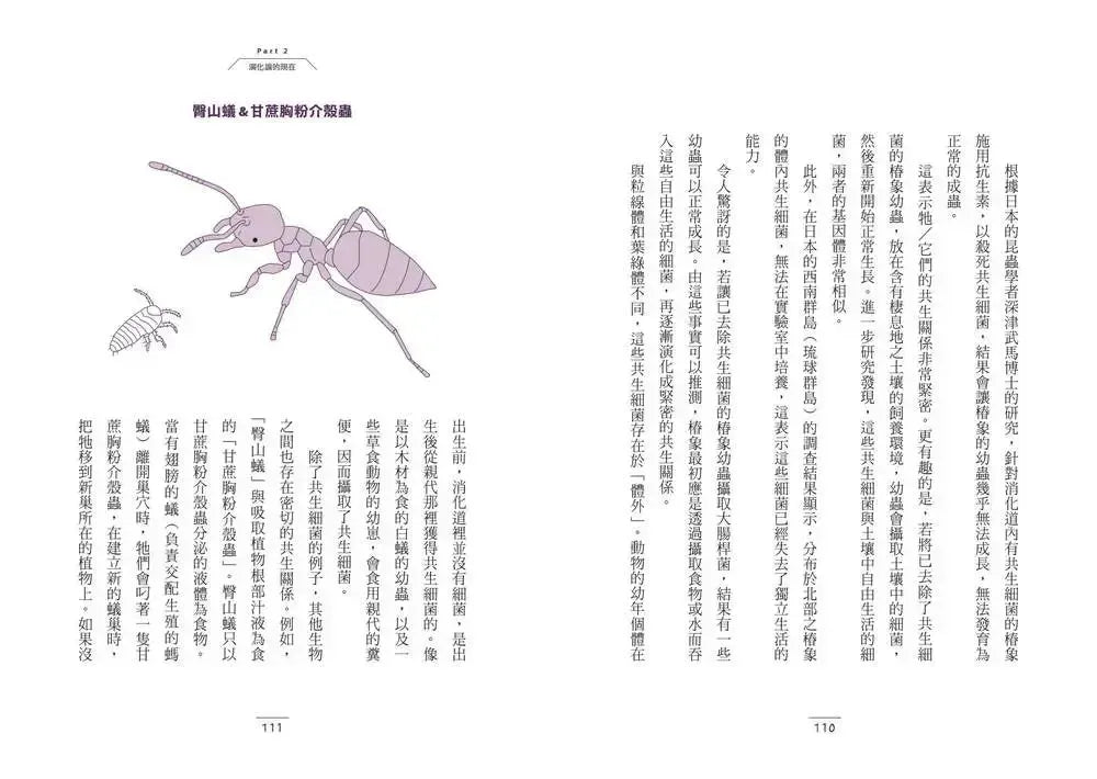 有趣到睡不著的演化:沒有你我也無法生存?-Children’s / Teenage general interest: Nature and animals-買書書 BuyBookBook
