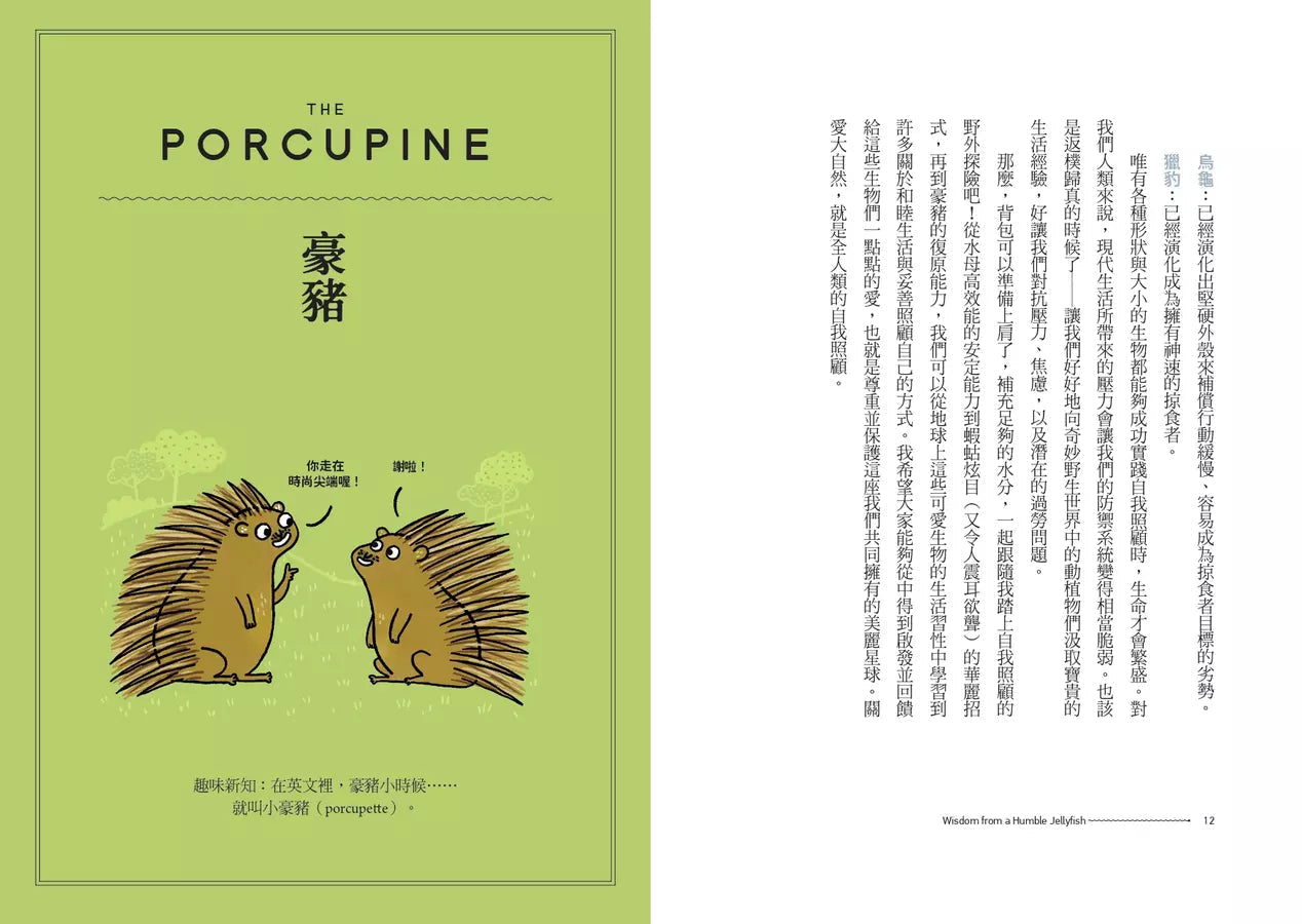 向水母學習人生智慧【精裝】:自然界的療癒大師教你放鬆的生活指南-非故事: 心理勵志 Self-help-買書書 BuyBookBook