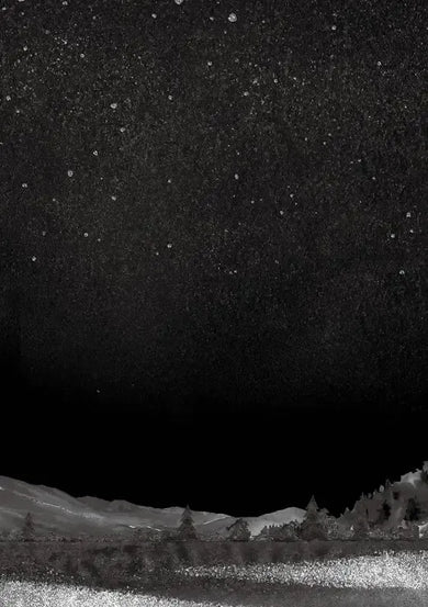 飲月少女:紐伯瑞金獎、美國圖書館協會Booklist年度最佳青少年讀物-Fiction: Fantasy-買書書 BuyBookBook