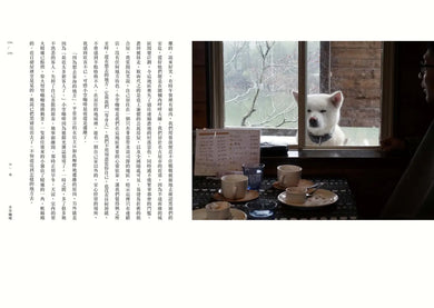 摘柿記