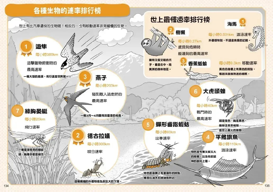 看漫畫秒懂小學數學:四則運算、小數與分數、單位、比率、表格與圖表、圖形-Graphic novels/ Comic books/ Manga/ Cartoons-買書書 BuyBookBook