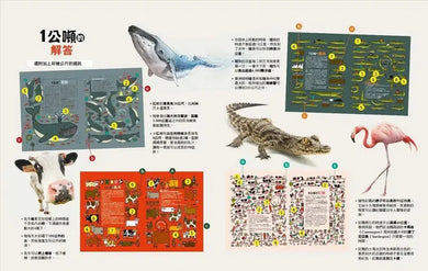 動物躲貓貓【2,818隻樂透大搜索】:超酷炫生物知識╳益智問答,怎麼找都玩不膩的觀察力訓練書-Children’s / Teenage general interest: Hobbies/ quizzes/ toys and games-買書書 BuyBookBook