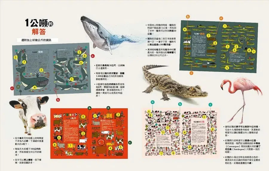 動物躲貓貓【2,818隻樂透大搜索】:超酷炫生物知識╳益智問答,怎麼找都玩不膩的觀察力訓練書-Children’s / Teenage general interest: Hobbies/ quizzes/ toys and games-買書書 BuyBookBook