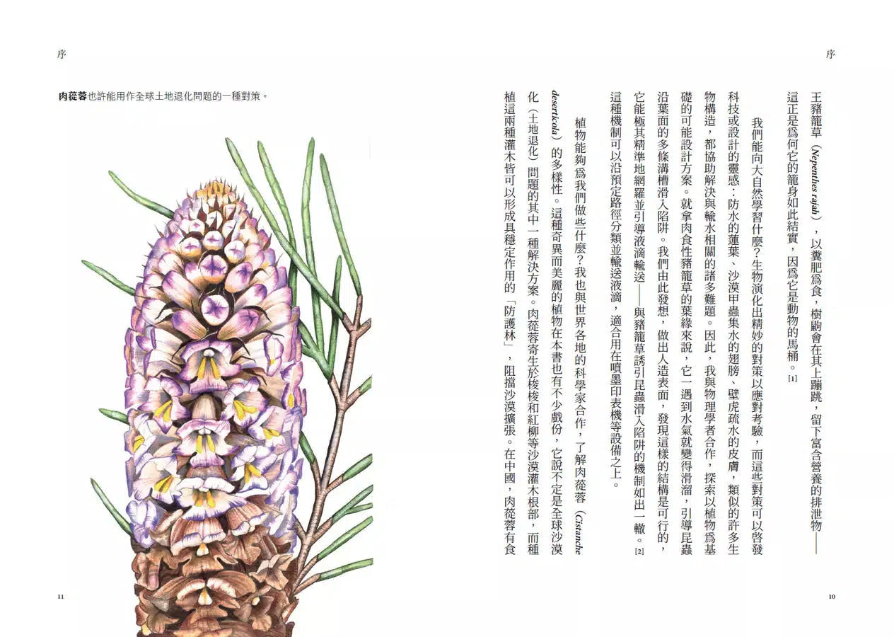 牛津植物學家的野帳:從IKEA到火山口,一趟勇往「植」前的全球採集之旅-非故事: 動物植物 Animal & Plant-買書書 BuyBookBook