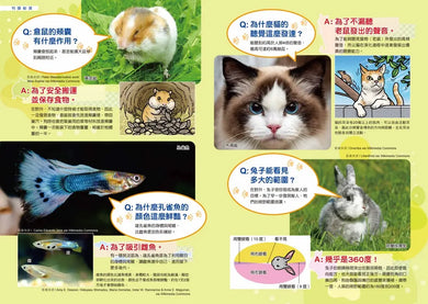 Inside Page 2