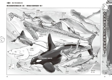 哆啦A夢知識大探索16:水族館祕密隧道 (藤子·F·不二雄)