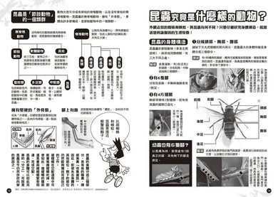 哆啦A夢科學大冒險7:昆蟲星球探險隊-Children’s / Teenage general interest: Science and technology-買書書 BuyBookBook