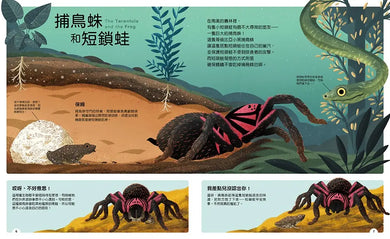 動物小夥伴:59 組你想不到的最佳拍檔,歡迎來到動植物共生的奇妙世界