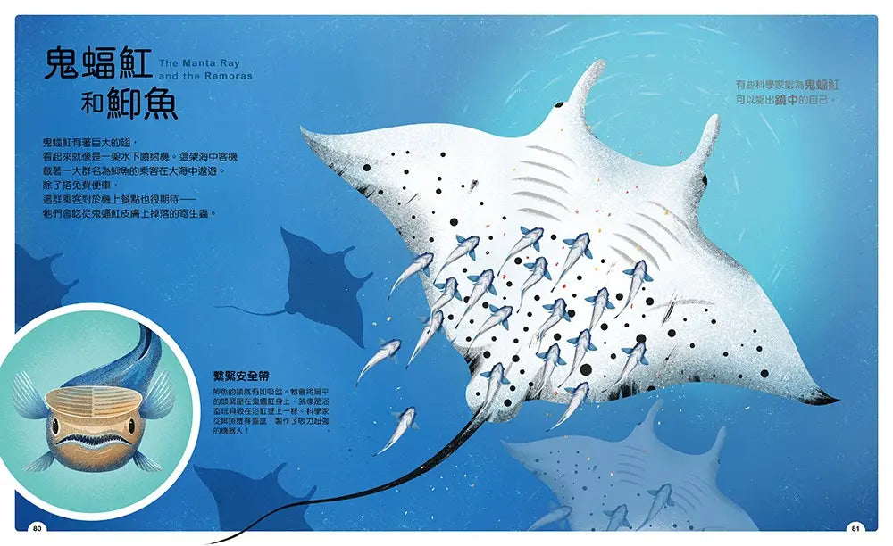 動物小夥伴:59 組你想不到的最佳拍檔,歡迎來到動植物共生的奇妙世界