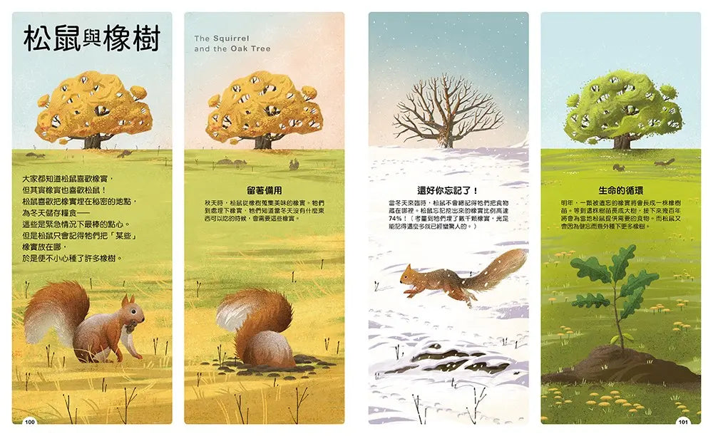 動物小夥伴:59 組你想不到的最佳拍檔,歡迎來到動植物共生的奇妙世界
