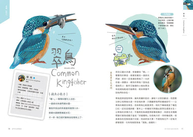 怪咖動物偵探2:家門外的野鄰居-Children’s / Teenage general interest: Nature and animals-買書書 BuyBookBook