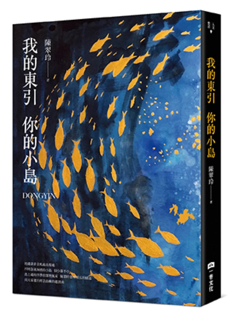 我的東引 你的小島 平裝書 Paperback