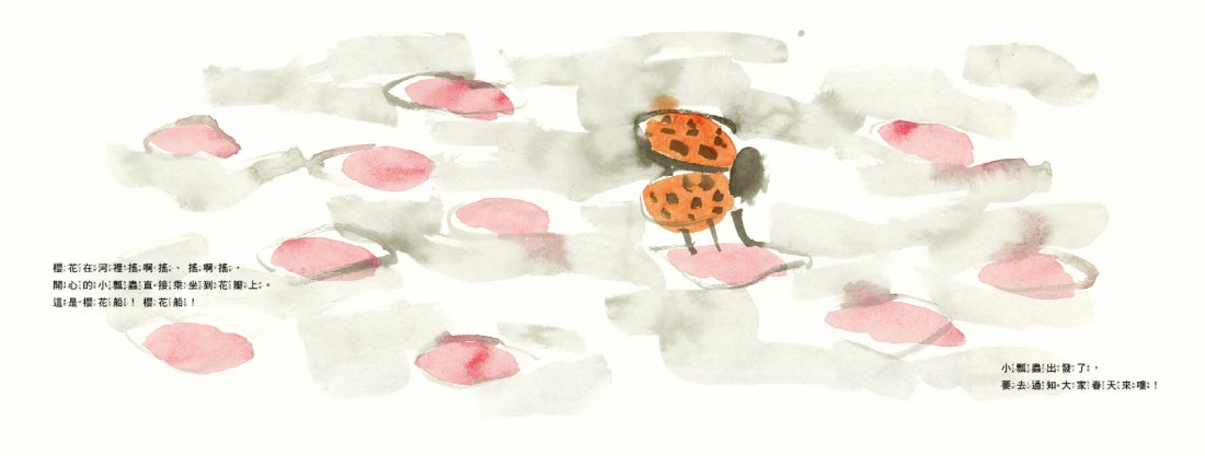 菊地知己:布拉迪斯國際插畫金牌獎得主的自然物語二部曲(共二冊):櫻花船+入冬前的楓葉信 精裝書 Hardback