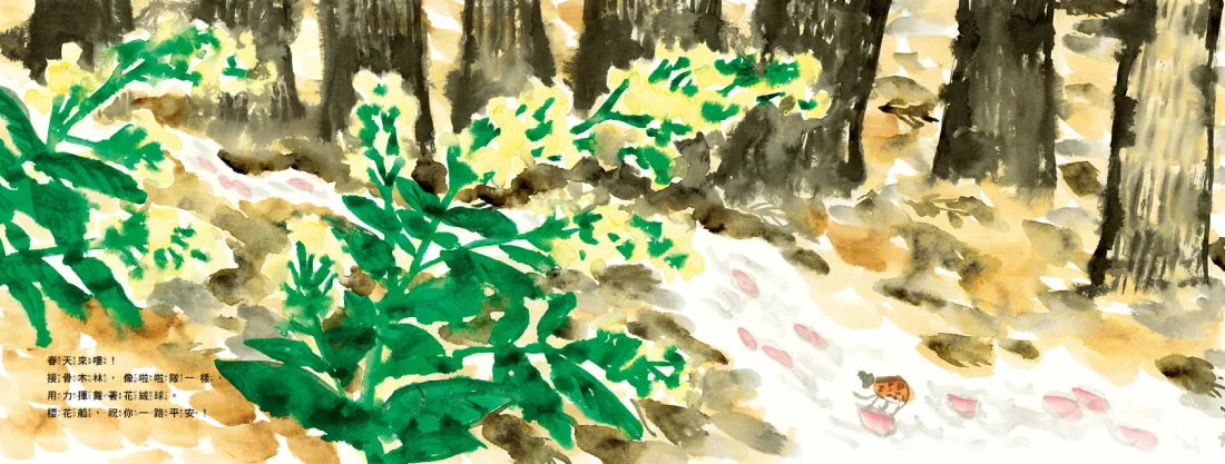 菊地知己:布拉迪斯國際插畫金牌獎得主的自然物語二部曲(共二冊):櫻花船+入冬前的楓葉信 精裝書 Hardback