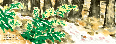 菊地知己:布拉迪斯國際插畫金牌獎得主的自然物語二部曲(共二冊):櫻花船+入冬前的楓葉信 精裝書 Hardback