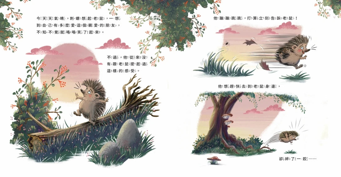 刺蝟與小老鼠【探索自我價值、人際關係與情感表達的啟蒙繪本】(套書加碼學習遊戲書) 精裝書 Hardback